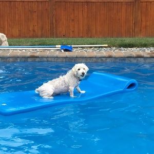 Meet your Posher, Shari